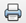 Print icon